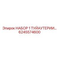 6245574600 НАБОР 1 ТУЙАУТЕРИИ Epiroc