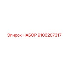 9106207317 НАБОР Epiroc