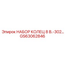 GS63062846 НАБОР КОЛЕЦ 8 В.302 Epiroc