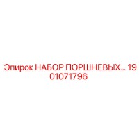 1901071796 НАБОР ПОРШНЕВЫХ Epiroc