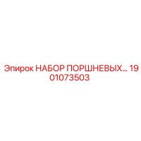 1901073503 НАБОР ПОРШНЕВЫХ Epiroc