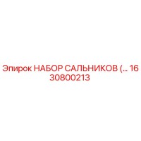 1630800213 НАБОР САЛЬНИКОВ Epiroc