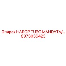8973036423 НАБОР TUBO MANDATA Epiroc