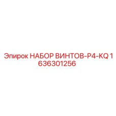1636301256 НАБОР ВИНТОВ-P4-KQ Epiroc