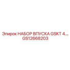 GS12668203 НАБОР ВПУСКА GSKT 4.3L Epiroc