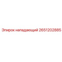2651202885 НАПАДАЮЩИЙ Epiroc