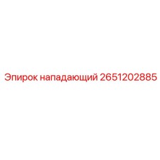 2651202885 НАПАДАЮЩИЙ Epiroc