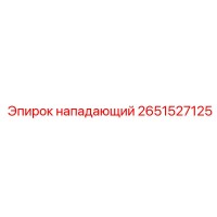 2651527125 НАПАДАЮЩИЙ Epiroc