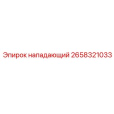 2658321033 НАПАДАЮЩИЙ Epiroc
