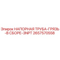 2657570558 НАПОРНАЯ ТРУБА-ГРЯЗЬ-В СБОРЕ-3NPT Epiroc