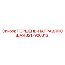 3217920313 ПОРШЕНЬ-НАПРАВЛЯЮЩАЯ Epiroc
