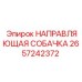 2657242372 НАПРАВЛЯЮЩАЯ СОБАЧКА Epiroc