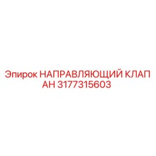 3177315603 НАПРАВЛЯЮЩИЙ КЛАПАН Epiroc