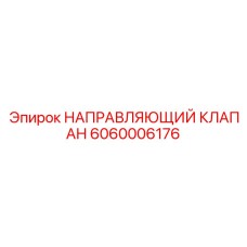 6060006176 НАПРАВЛЯЮЩИЙ КЛАПАН Epiroc