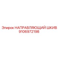 9106972198 НАПРАВЛЯЮЩИЙ ШКИВ Эпирок