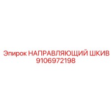 9106972198 НАПРАВЛЯЮЩИЙ ШКИВ Эпирок