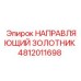 4812011698 НАПРАВЛЯЮЩИЙ ЗОЛОТНИК Epiroc