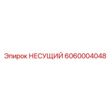 6060004048 НЕСУЩИЙ Эпирок