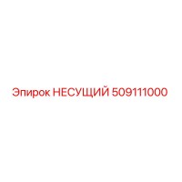 509111000 НЕСУЩИЙ Epiroc