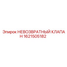 1621505182 НЕВОЗВРАТНЫЙ КЛАПАН Epiroc
