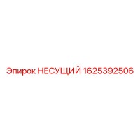 1625392506 НЕСУЩИЙ Epiroc