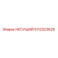 5112323629 НЕСУЩИЙ Epiroc