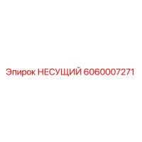 6060007271 НЕСУЩИЙ Epiroc