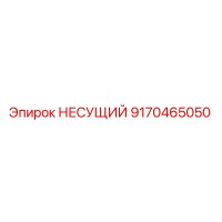 9170465050 НЕСУЩИЙ Epiroc