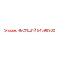54596960 НЕСУЩИЙ Epiroc
