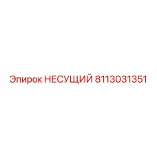 8113031351 НЕСУЩИЙ Epiroc