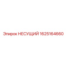 1625164660 НЕСУЩИЙ Epiroc