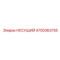 4700363755 НЕСУЩИЙ Epiroc