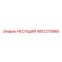 4812275985 НЕСУЩИЙ Epiroc