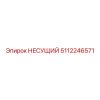 5112246571 НЕСУЩИЙ Epiroc
