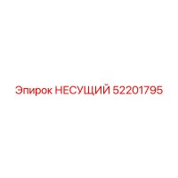 52201795 НЕСУЩИЙ Epiroc