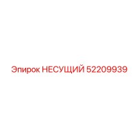 52209939 НЕСУЩИЙ Epiroc