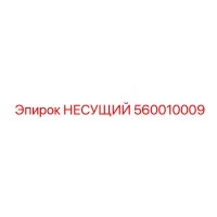 560010009 НЕСУЩИЙ Epiroc