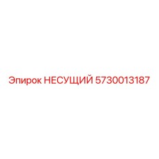 5730013187 НЕСУЩИЙ Epiroc