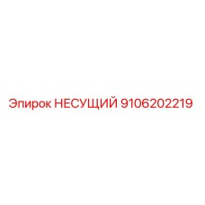 9106202219 НЕСУЩИЙ Epiroc