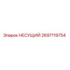 2697119754 НЕСУЩИЙ Epiroc