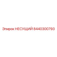 8440300793 НЕСУЩИЙ Epiroc