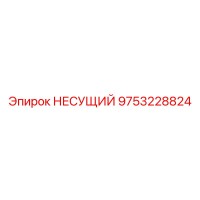 9753228824 НЕСУЩИЙ Epiroc