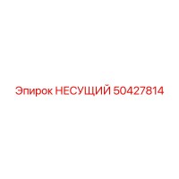 50427814 НЕСУЩИЙ Epiroc