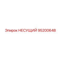 95200648 НЕСУЩИЙ (Epiroc)