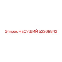 52269842 НЕСУЩИЙ Epiroc