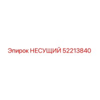 52213840 НЕСУЩИЙ Epiroc