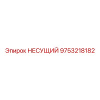 9753218182 НЕСУЩИЙ Epiroc
