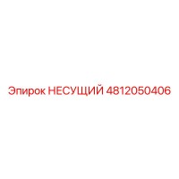 4812050406 НЕСУЩИЙ Epiroc