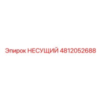 4812052688 НЕСУЩИЙ Epiroc