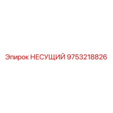 9753218826 НЕСУЩИЙ Epiroc